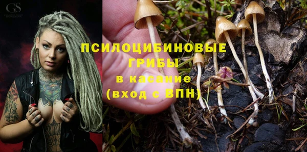 винт Богородск