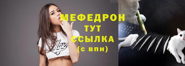 дурь Богданович