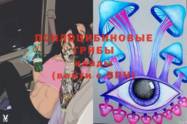 дурь Богданович